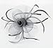 Fascinator Hat with Headband for Women Lady Grey