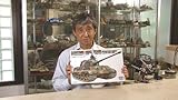 模型道場 戦車模型の作り方(基本編) [DVD] 画像