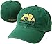 Seattle Sonics Hardwood Classic Green Franchise Hat