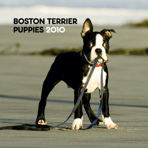 image link -  - 1421649799