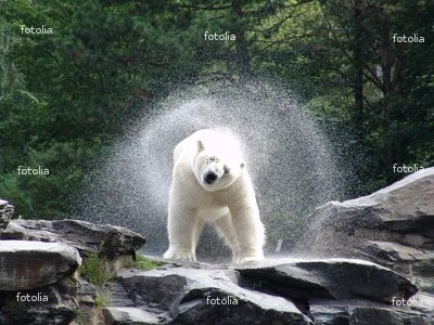 'Refrigeration' Wall Decal - 36