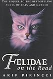 Felidae on the road