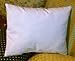 ReynosoHomeDecor 10x14 Pillow Insert Form