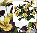 Eight 10" Pansy Artificial Silk Flower Bushes for Home Decoration