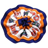 NCAA Florida Gators Hair Scrunchie W/Orange Script Gators & Gator Head