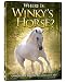 Where is Winky's Horse