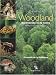 Portrait of a Woodland