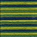 Anchor Embroidery Floss Multicolor 23 yd Mountain Stream 1355