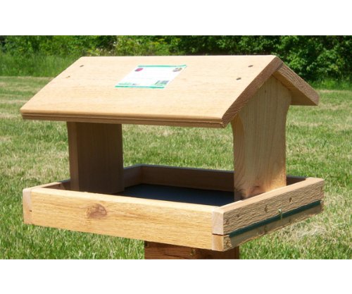 Fly Thru Bird Feeder Birds 16x13.25x11
