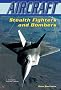 Stealth Fighters and Bombers (Aircraft (Enslow))