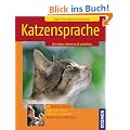 Katzensprache: Verhalten erkennen & verstehen