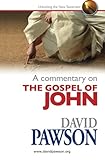A commentary on the Gospel of John