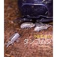 うまれたよ！ダンゴムシ<br>皆越 ようせい写真 小杉 みのり構成・文 <br>岩崎書店<br>2310円<br>ISBN:9784265020454