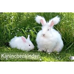 Kaninchenkinder Posterkalender 2012