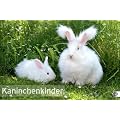 Kaninchenkinder Posterkalender 2012