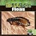 Book Fleas (Bugs!)