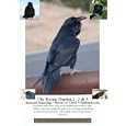 The Raven Diaries 1, 2 and 3 (2 Disk Set) by 