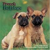 French Bulldogs 2009 Wall Calendar