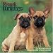 French Bulldogs 2009 Wall Calendar