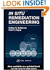 In Situ Remediation Engineering