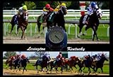 BooBoo Lexington Kentucky 13X19