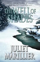 The Well of Shades (Bridei Chronicles 3)