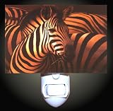 Sunset Zebra Decorative Night Light