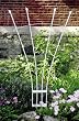 Fan Trellis I