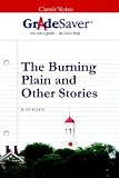 GradeSaver (TM) ClassicNotes The Burning Plain and Other Stories: Study Guide