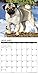 2016 Just Pugs Wall Calendar