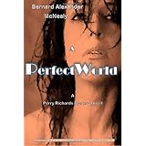 a perfect world a perry richards mystery novel volume 1
