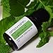 Spearmint Essential Oil by Simply Earth - 15 ml, 100% Pure Therapeutic Grade