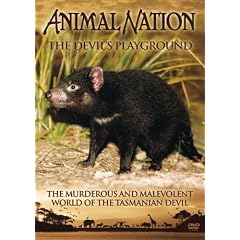 Animal Nation - The Devil's Playground [DVD]