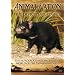 Animal Nation - The Devil's Playground [DVD]
