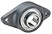 INA/Schaeffler Technologies - PCJTY35-N - 2-Bolt Flange Bearing with Ball Bearing Insert and 35mm Bore Dia.