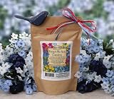 Forget-me-not Garden