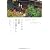 ベニシアの京都里山暮らし ―大原に安住の地を求めて Venetia's Kyoto Country Living