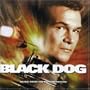 Black Dog