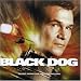 Black Dog