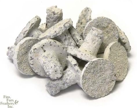 Reef Plugs