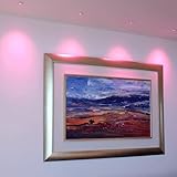 IMAGE OF Large Fiber Optic Downlight Lighting Kit