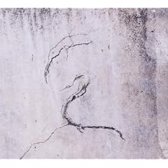 Impressions