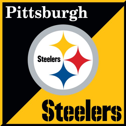 Turner Pittsburgh Steelers Paper Cube (8080025)