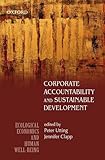 Corporate accountability and sustainable development