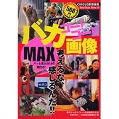ゴー!ゴー!!バカ画像MAX (BEST MOOK SERIES 44)