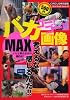 ゴー!ゴー!!バカ画像MAX (BEST MOOK SERIES 44)