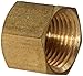 Anderson Metals 56108 Brass Pipe Fitting, Cap, 3/8