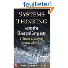 Systems Thinking: Managing Chaos and Complexity : A Platform for Designing Business Architecture