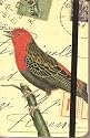 Cavallini Birds Hardbound Notebook