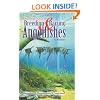 Breeding & Raising Angelfishes